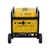 KT Model Gasoline Welder Generator 250A
